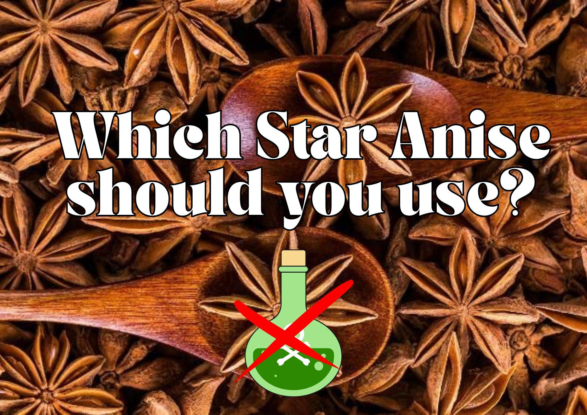 What is the difference between Chinese Star Anise vs Japanese Star Anise